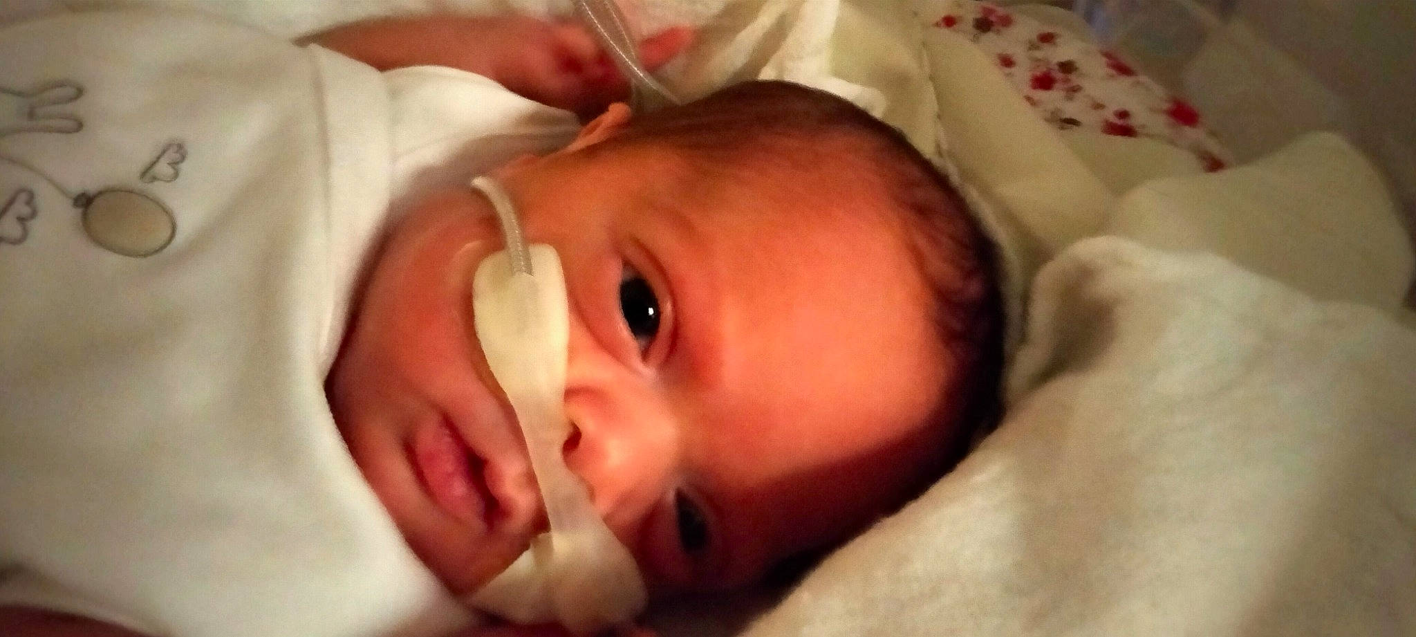 Ayla participe au concours pour gagner de l'argent avec cette photo : baby, baby_toddler_clothing, cheek, chin, comfort, ear, eye, eyebrow, eyelash, face, hair, hand, head, human_body, iris, lip, mouth, nose, person, skin