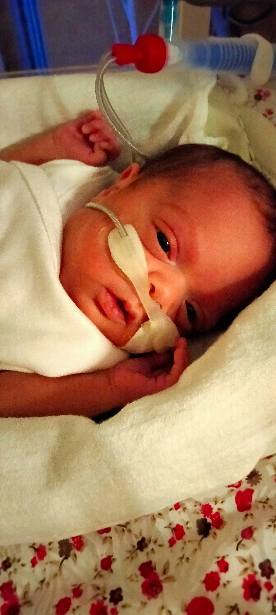 Ayla participe au concours pour gagner de l'argent avec cette photo : baby, baby_toddler_clothing, bedtime, cheek, child, comfort, ear, eyebrow, eyelash, flesh, happy, iris, linens, lip, nap, nose, person, skin, sleep, thumb