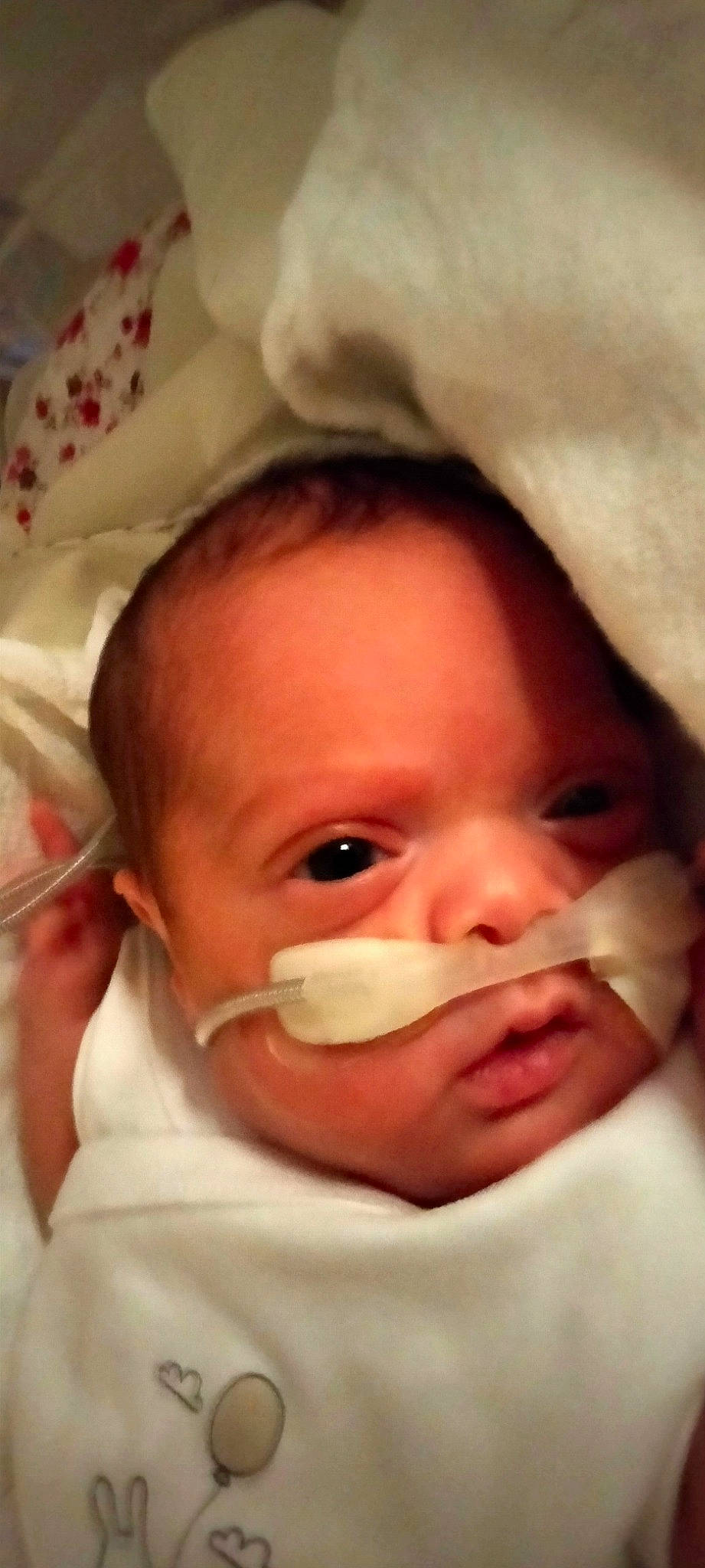 Ayla participe au concours pour gagner de l'argent avec cette photo : baby, cheek, chin, comfort, ear, eye, eyebrow, eyelash, face, finger, forehead, happy, head, iris, lip, mouth, nose, person, skin, smile