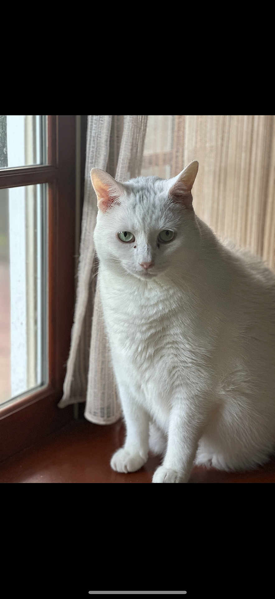 Benny