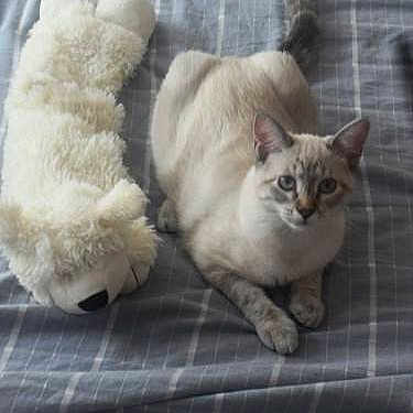 Ninette a rejoint le concours — aidez-le/la à gagner de superbes lots !