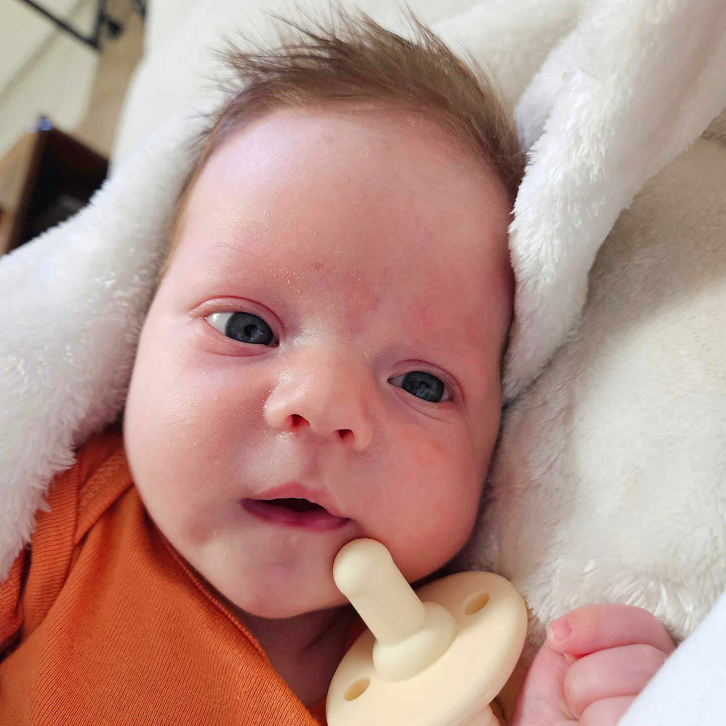 Jasper joined the competition — help win amazing prizes! baby, blanket, bodypart, couch, cushion, face, finger, furniture, hand, happy, head, homedecor, newborn, person, photography, portrait, sleeping, smile, towel, toy