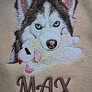 Max is registered to the contest to win money with this photo: animal_art, background, blue_eyes, cute, dog, drawing, ears, face, fur, graphic_design, husky, illustration, max, nose, pixel_grid, plush_toy, portrait, printed_image, text, toy