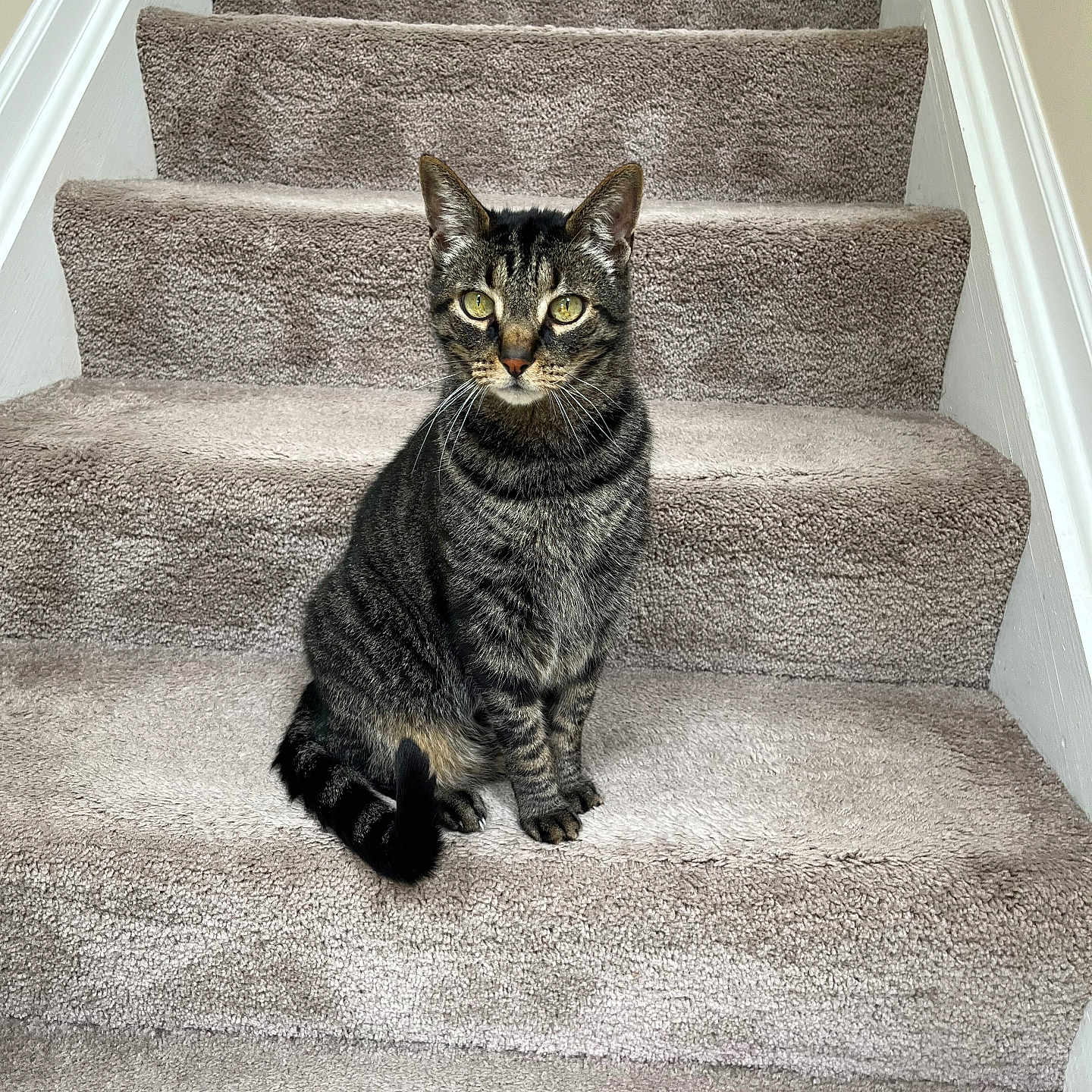 Pete