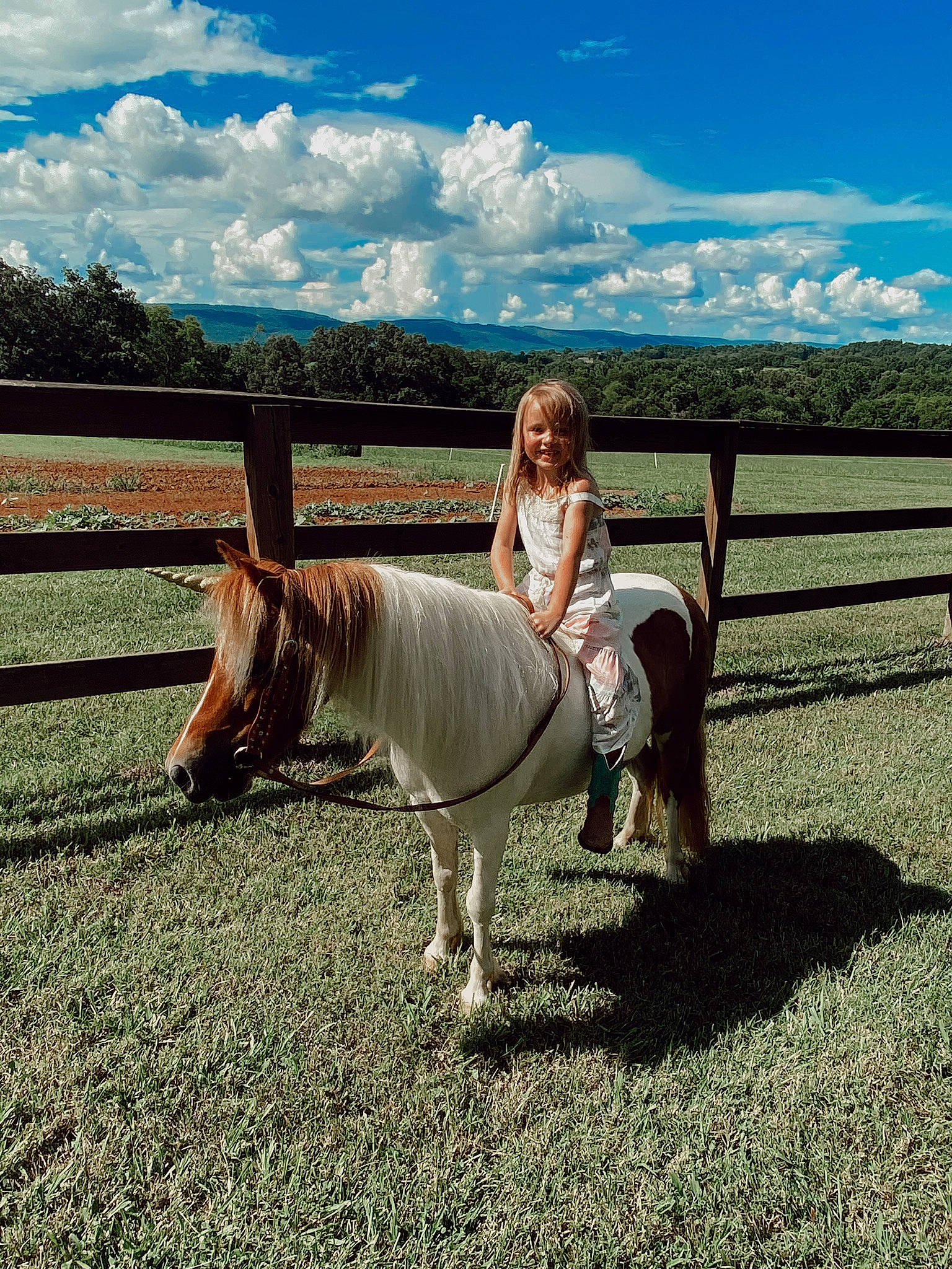 Evalynn joined the competition — help win amazing prizes! brown_hair, farm, field, grassland, horse, horse_supplies, joy, liver, livestock, mammal, mane, mare, pasture, people_in_nature, person, pony, ranch, rural_area, shetland_pony, sorrel