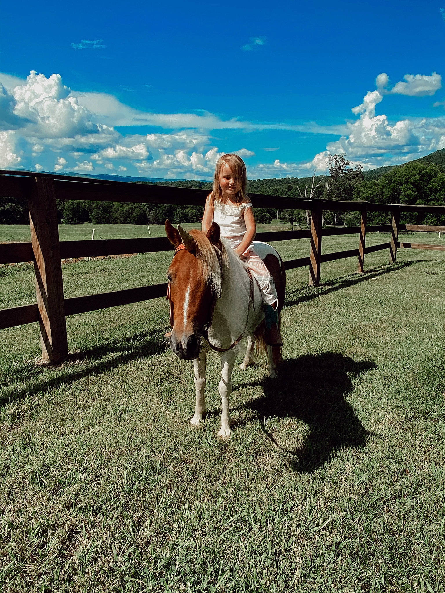 Evalynn joined the competition — help win amazing prizes! cumulus, ecoregion, farm, field, grassland, horse, horse_supplies, human, joy, landscape, liver, livestock, mammal, pasture, people_in_nature, person, plain, ranch, rural_area, sorrel