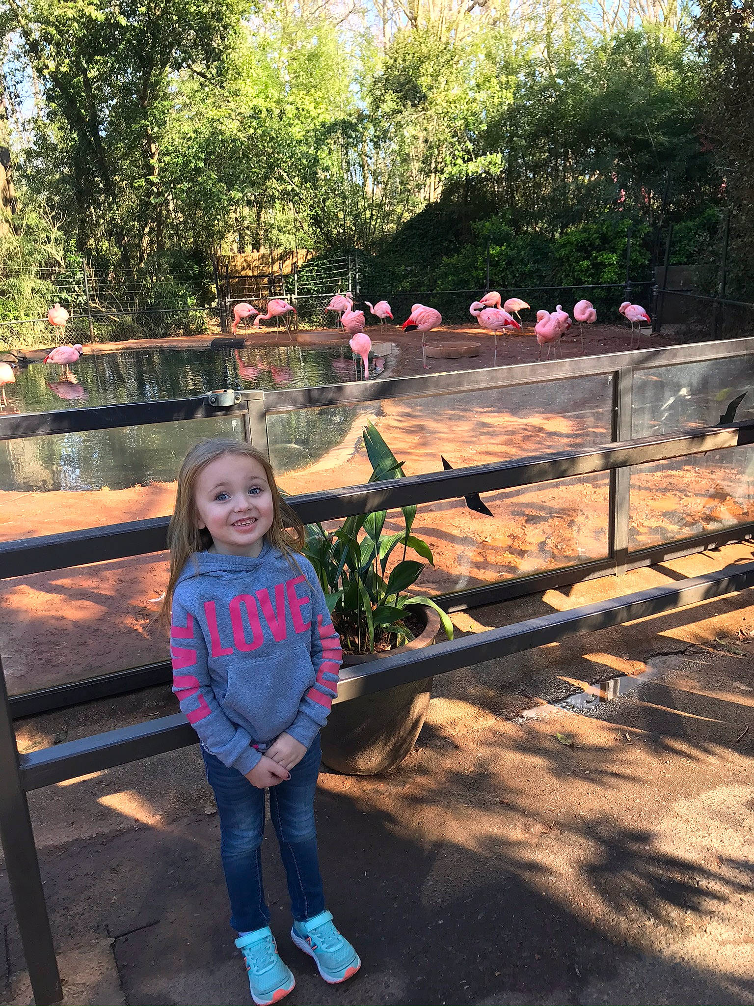 Evalynn is registered to the contest to win money with this photo: baby_toddler_clothing, backyard, botanical_garden, denim, garden, jacket, jeans, joy, person, pink, spring, yard