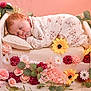 baby, sleeping, bed, flowers, pink_background, floral, cute, infant, pillow, soft, peaceful, newborn, decorative, resting, toddler, nature, greenery, yellow_flower, white_flower, cozy