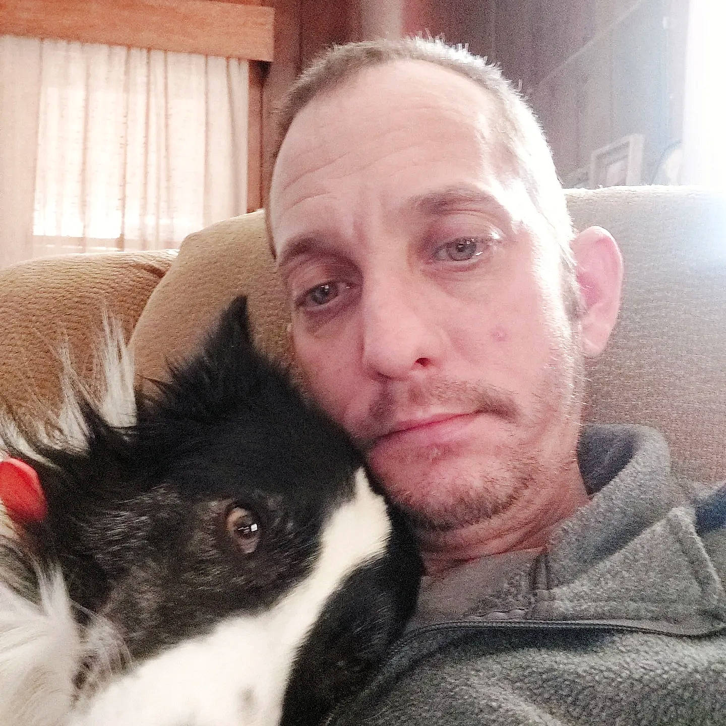 Aussie is registered to the contest to win money with this photo: beard, carnivore, comfort, companion_dog, dog, dog_breed, ear, eyewear, facial_hair, fur, happy, jaw, nose, selfie, snout, sporting_group, toy_dog, vision_care, whiskers, working_animal