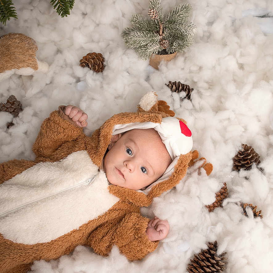 Paol participe au concours pour gagner de l'argent avec cette photo : baby, christmas, costume, cute, festive, fluffy, holiday_theme, indoor, infant, lying_down, nature_elements, pine_branches, pinecones, portrait, reindeer_costume, small_tree, snow_like, soft_texture, warm_clothing, winter