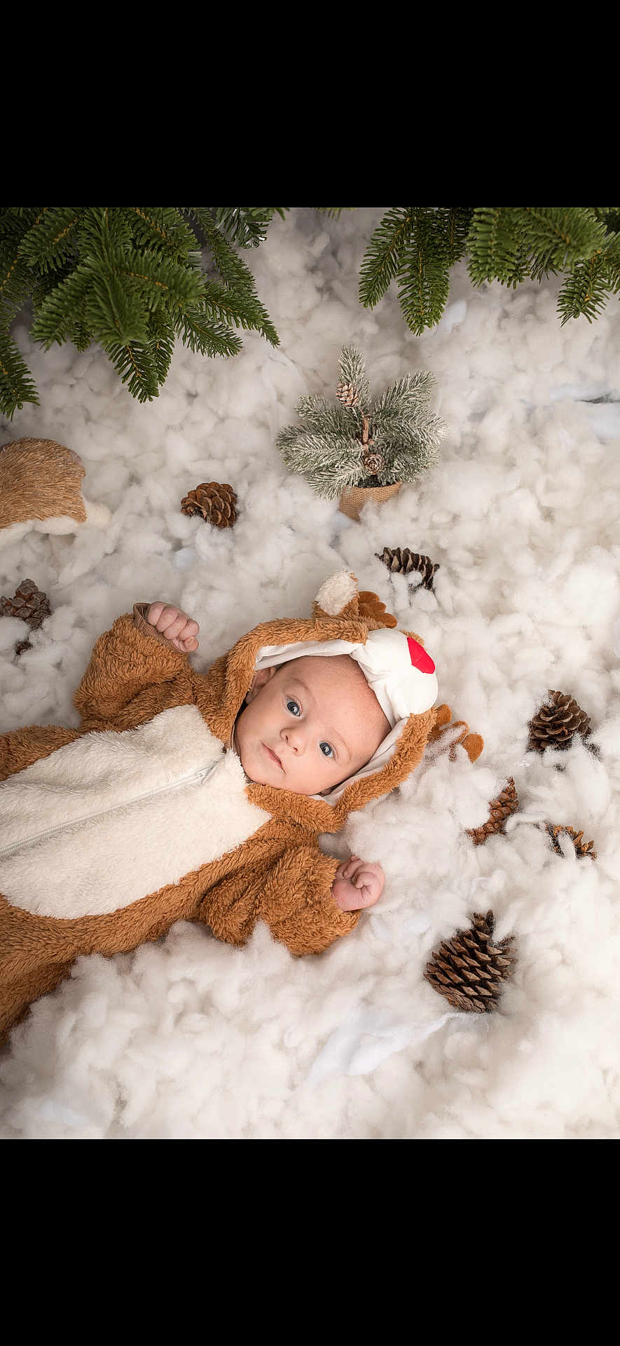 Paol participe au concours pour gagner de l'argent avec cette photo : baby, infant, reindeer_costume, costume, pinecones, pine_branches, fluffy, snow_like, winter, holiday_theme, cute, lying_down, soft_texture, christmas, festive, nature_elements, small_tree, warm_clothing, indoor, portrait