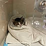 cat, tabby, elizabethan_collar, cone_of_shame, towel, blanket, veterinary_clinic, pet, recovery, indoor, cage, medical, white_towel, kitten_face, striped_fur, close_up, resting, sad_looking, pet_care, animal