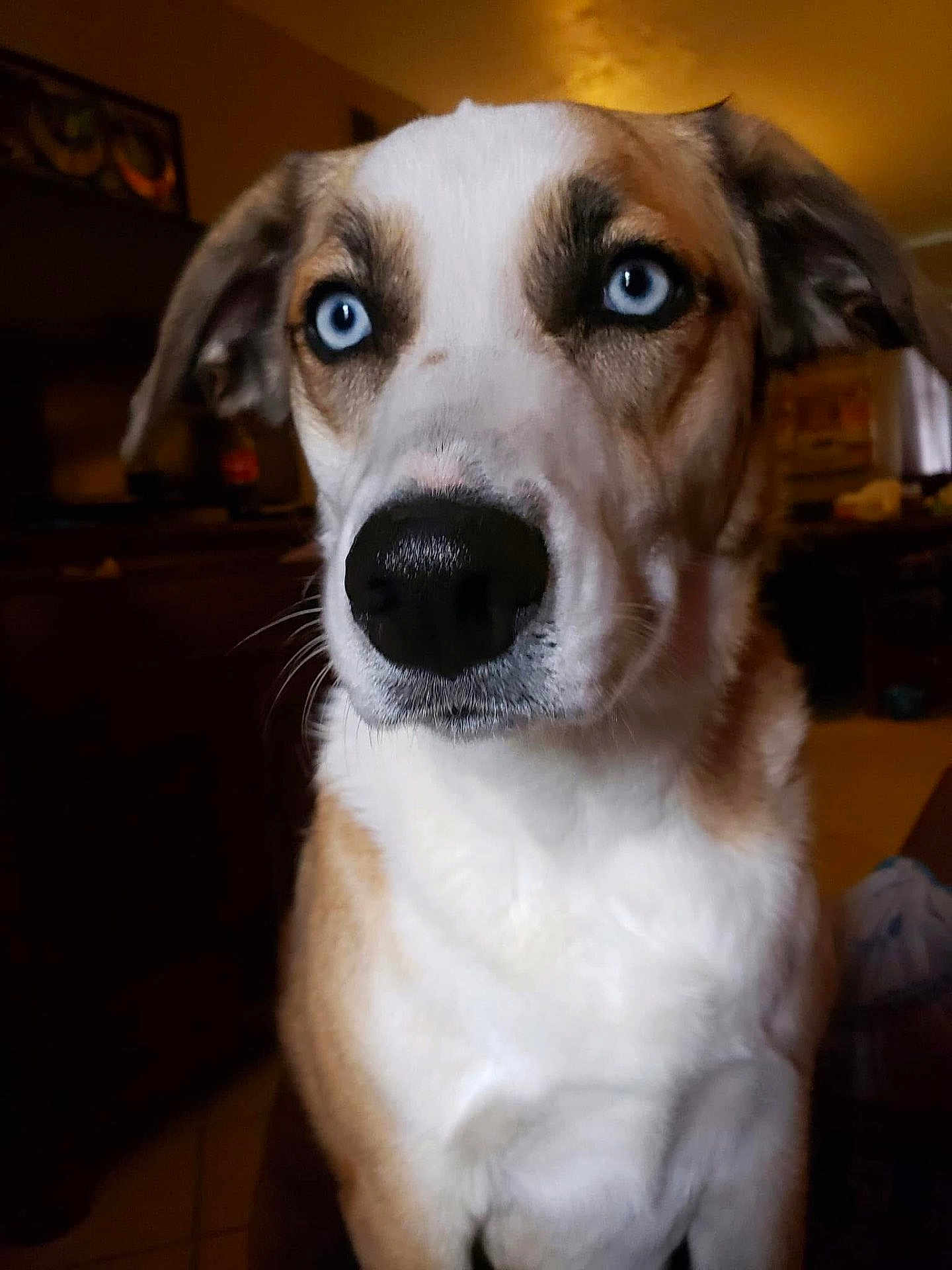 Zoe