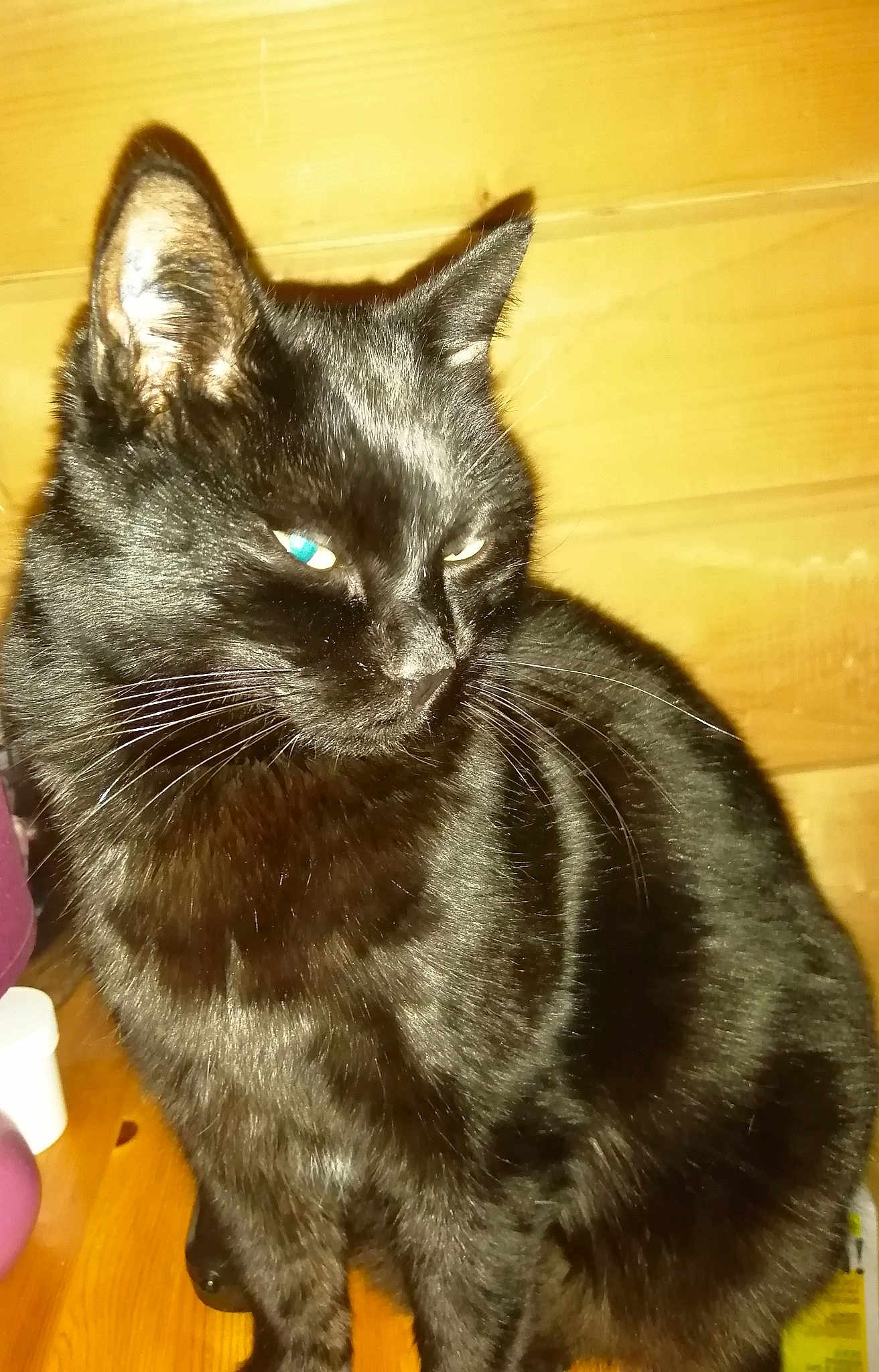 Blacky