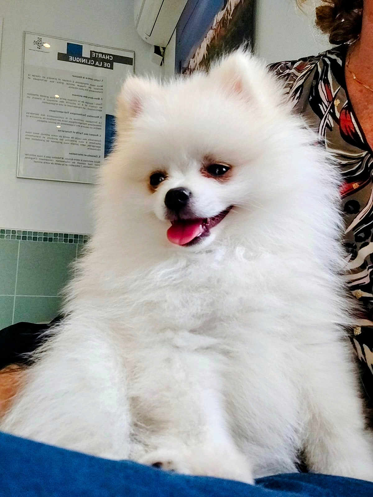 Loki