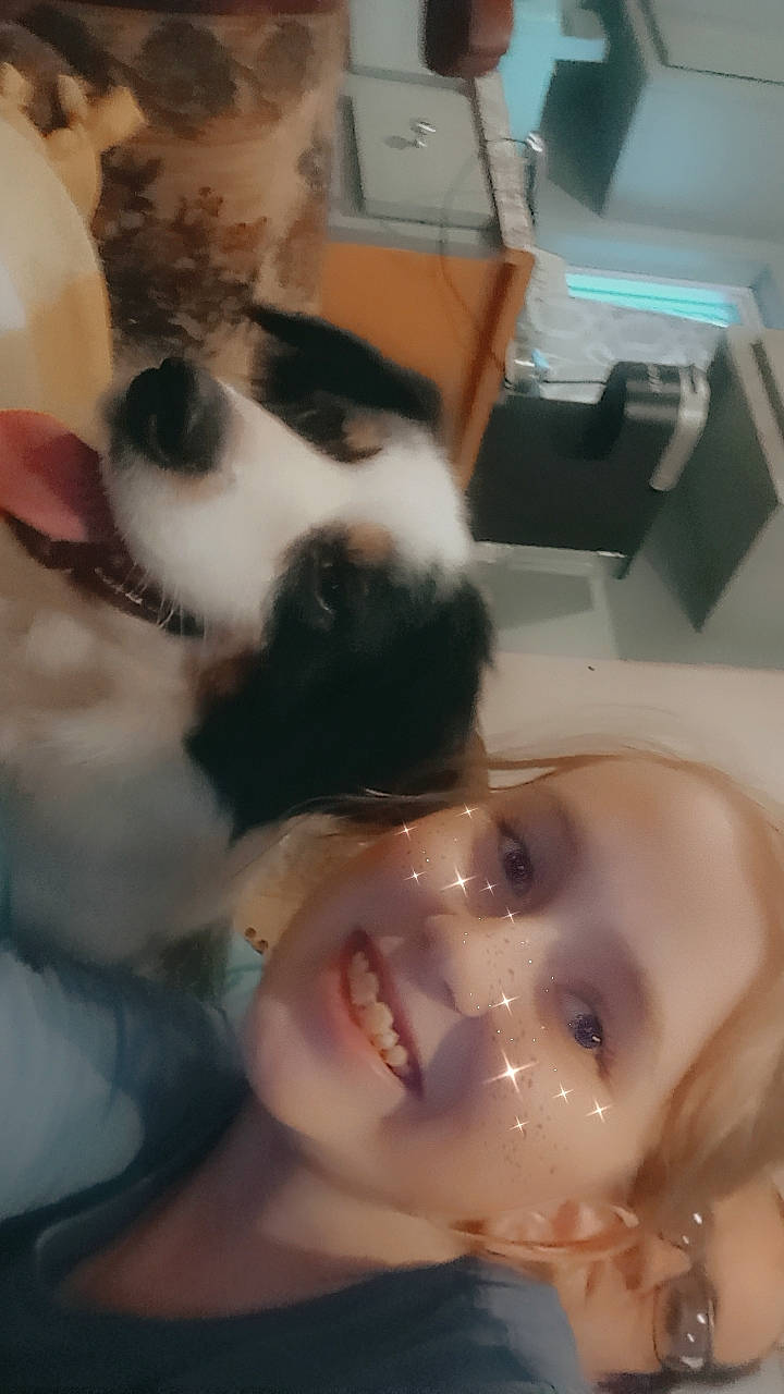 Waylon joined the competition — help win amazing prizes! bathing, chest, companion_dog, dog_breed, ear, eyelash, eyewear, felidae, fun, fur, happy, jaw, mouth, nose, paw, selfie, skin, small_to_medium_sized_cats, smile, whiskers