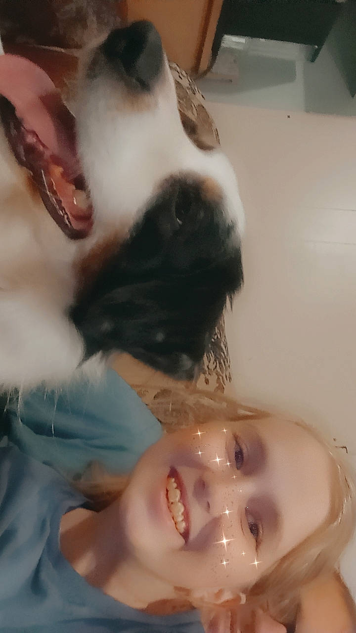 Waylon joined the competition — help win amazing prizes! bathing, beard, carnivore, chest, companion_dog, dog_breed, ear, eyebrow, eyelash, fawn, felidae, gesture, happy, jaw, mouth, neck, nose, skin, snout, whiskers