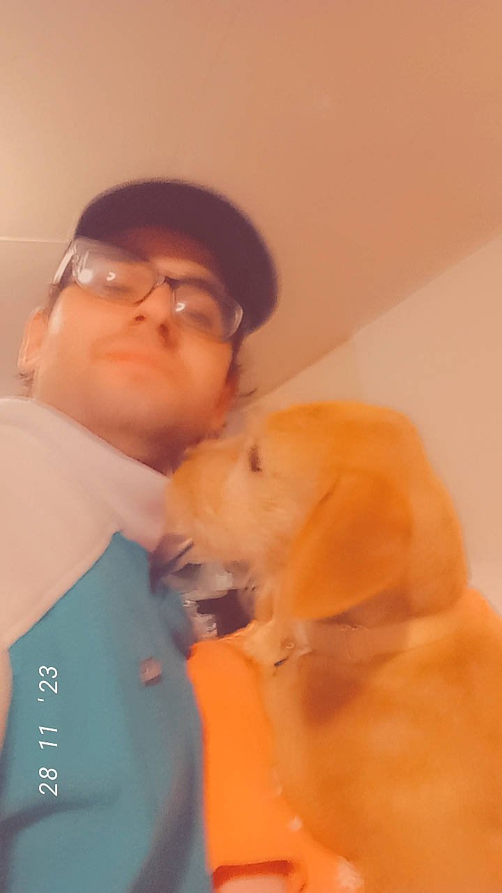 Harley joined the competition — help win amazing prizes! abdomen, carnivore, chest, comfort, companion_dog, dog, dog_breed, ear, elbow, eyewear, fawn, gesture, glasses, happy, jaw, neck, nose, sporting_group, trunk, vision_care