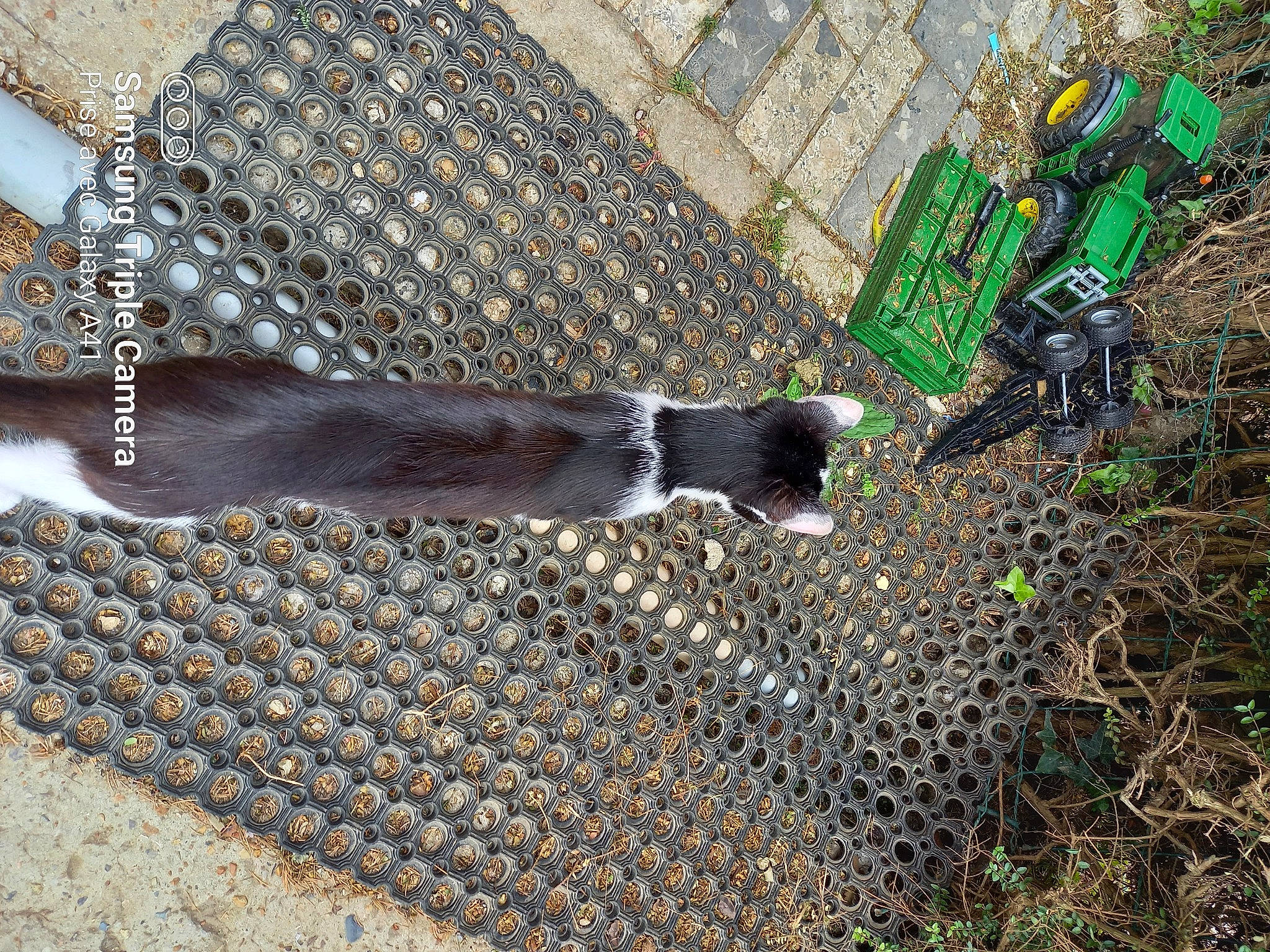 Félix participe au concours pour gagner de l'argent avec cette photo : building, grass, landscape, metal, pattern, plant, sleeve, soil, tree, water, wood