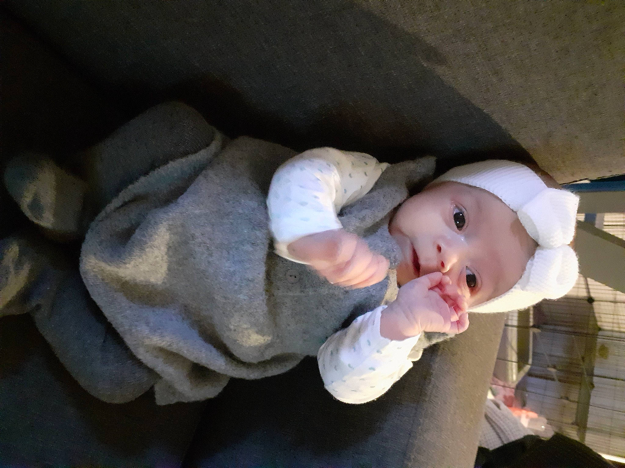 Kloé a rejoint le concours — aidez-le/la à gagner de superbes lots ! baby, baby_carriage, baby_products, baby_toddler_clothing, cheek, child, comfort, hat, headgear, person, sitting, sleeve, sun_hat, tie, toddler, tree