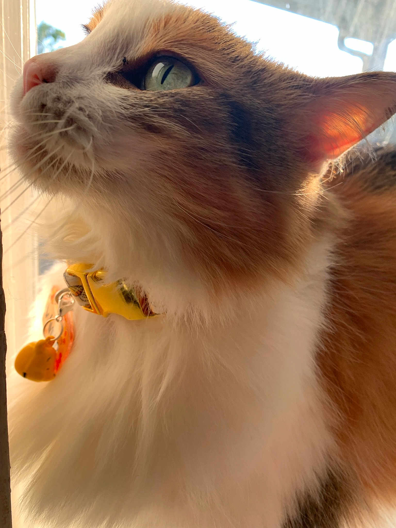 Winnie