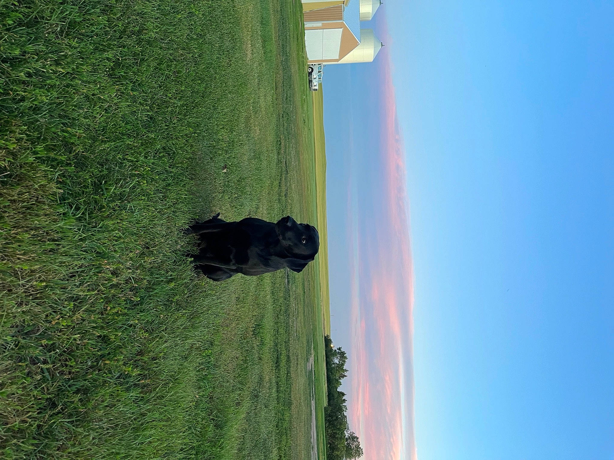 Echo joined the competition — help win amazing prizes! grass, grassland, landscape, line, plant, plant_stem, rock, shadow, sky, tints_and_shades, tree, trunk, water, wood