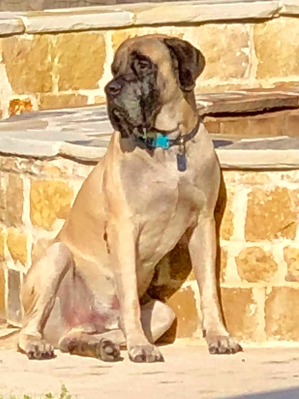 Duke