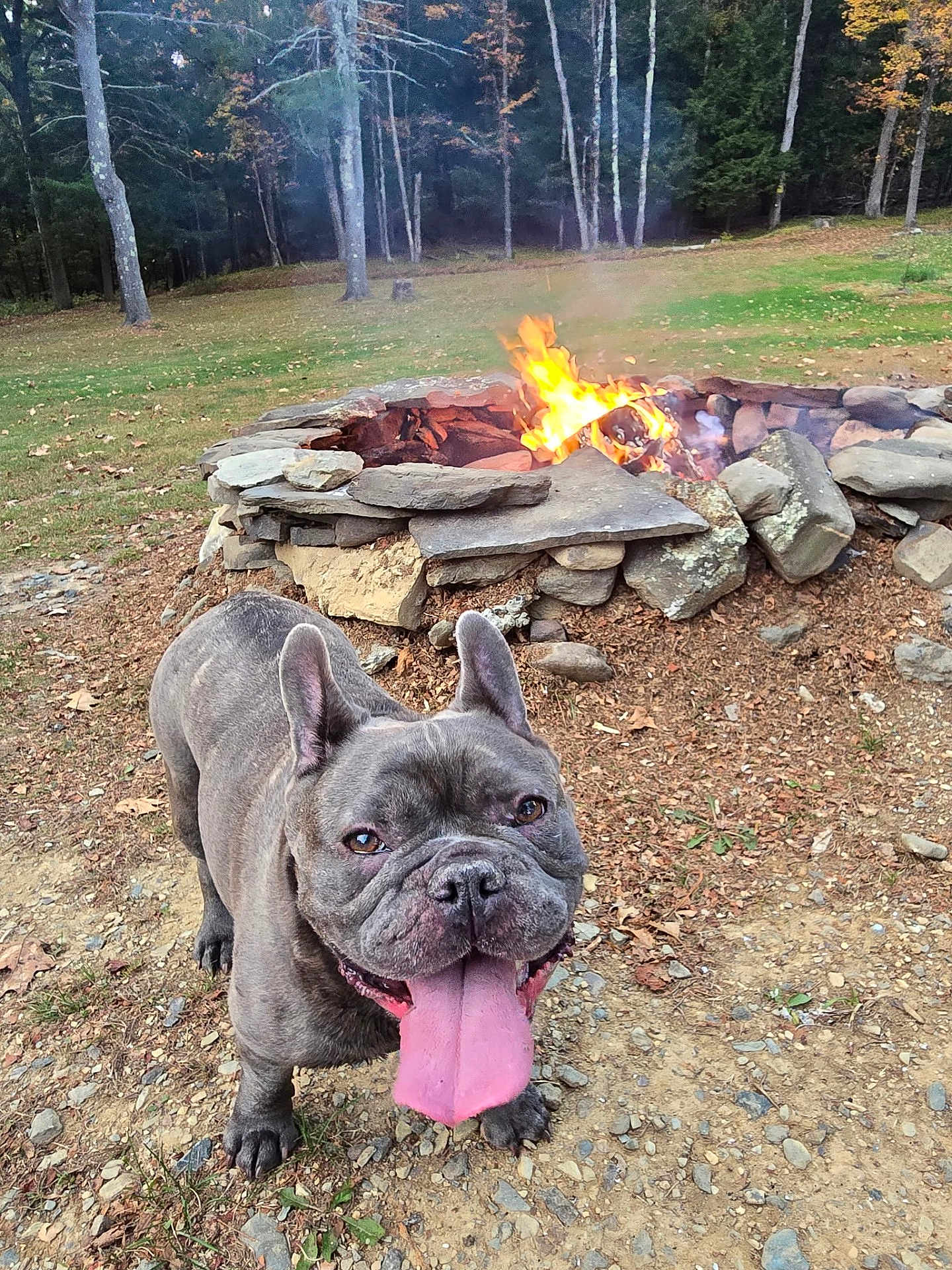 Ziggy Duncan Higgins