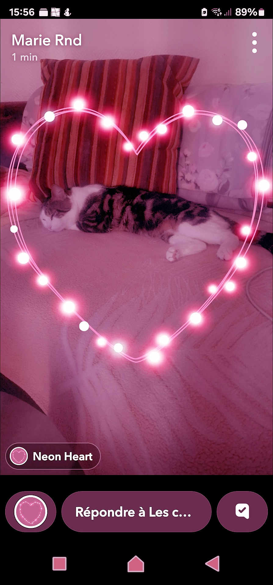 Doudou
