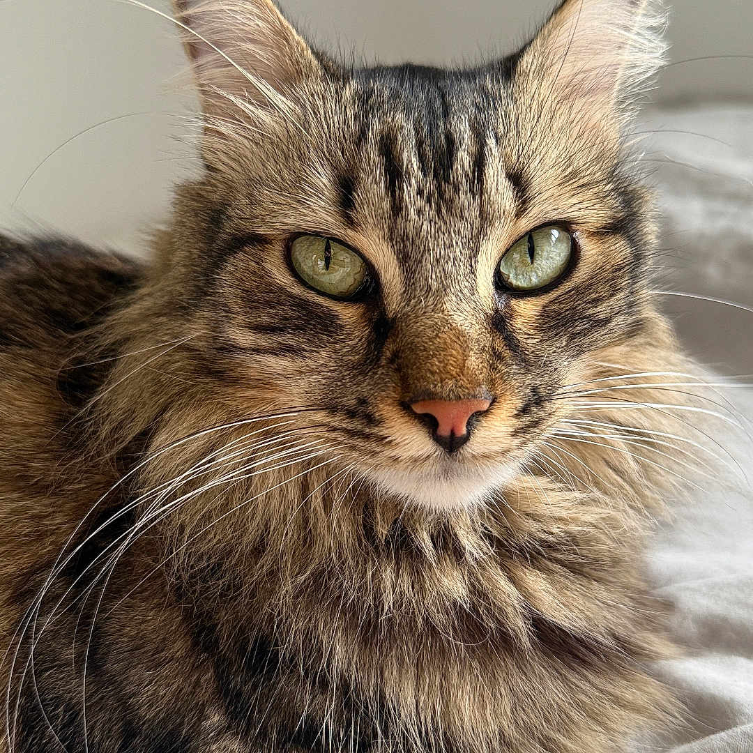 Sam