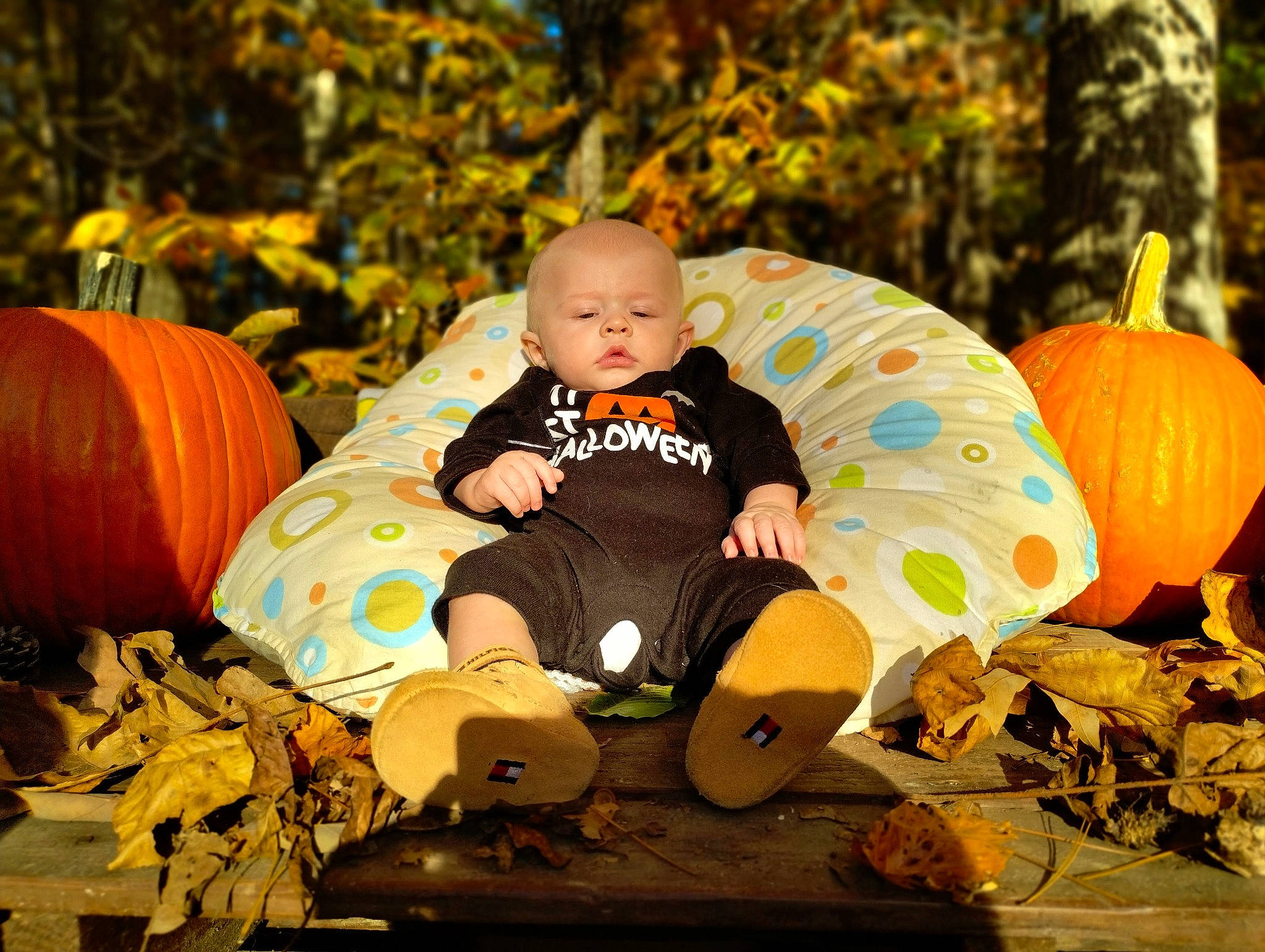 Parker is registered to the contest to win money with this photo: baby, baby_toddler_clothing, calabaza, eye, facial_expression, gourd, grass, happy, head, leaf, natural_foods, orange, people_in_nature, person, plant, pumpkin, squash, tints_and_shades, toddler, winter_squash