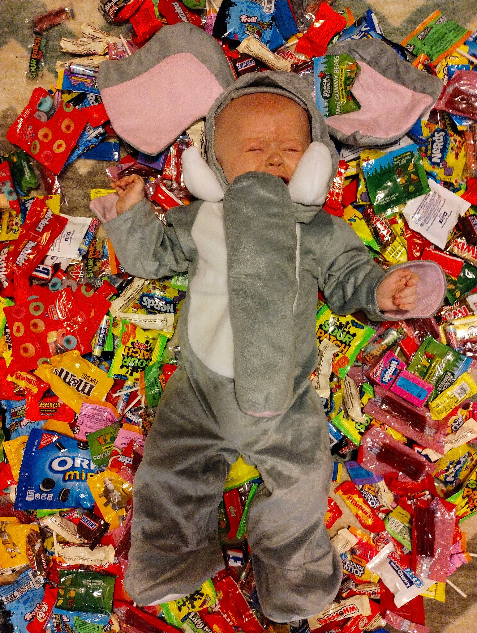 Parker joined the competition — help win amazing prizes! baby, baby_products, baby_toddler_clothing, baby_toys, child, event, fun, happy, hat, people, person, plastic, play, product, room, stuffed_toy, textile, toddler, toy, tradition