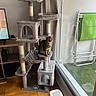 Uby a rejoint le concours — aidez-le/la à gagner de superbes lots ! cat, tabby_cat, pet, animal, sitting, cat_tree, scratching_post, indoor, home, living_room, window, balcony, green_chair, curtains, wooden_floor, cat_furniture, automatic_feeder, television, portrait, daylight