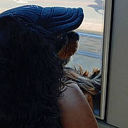 Oups participe au concours pour gagner de l'argent avec cette photo : dog, cap, window, seat, black_dog, looking_outside, indoor, resting, side_view, brown_seat, animal, pet, fur, portrait, calm, canine, travel, daylight, reflection, casual
