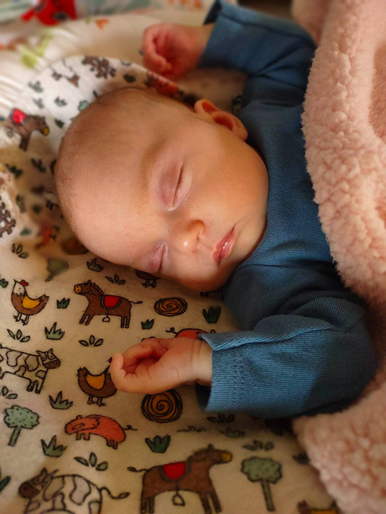 Bristol is registered to the contest to win money with this photo: baby, baby_sleeping, baby_toddler_clothing, bedtime, cheek, child, comfort, finger, flooring, linens, mammal, nose, pattern, person, skin, sleeve, textile, toddler, vertebrate, white