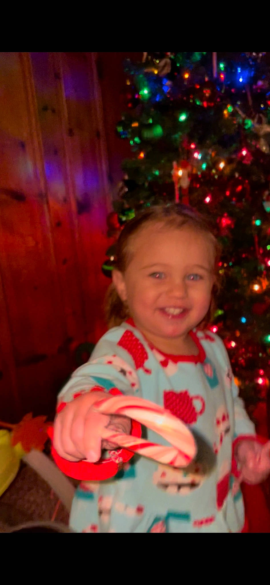 Harley Jade joined the competition — help win amazing prizes! child, christmas, christmas_decoration, christmas_ornament, christmas_tree, conifer, event, fun, happy, holiday, holiday_ornament, joy, ornament, person, plate, red, sitting, smile, tableware, toddler