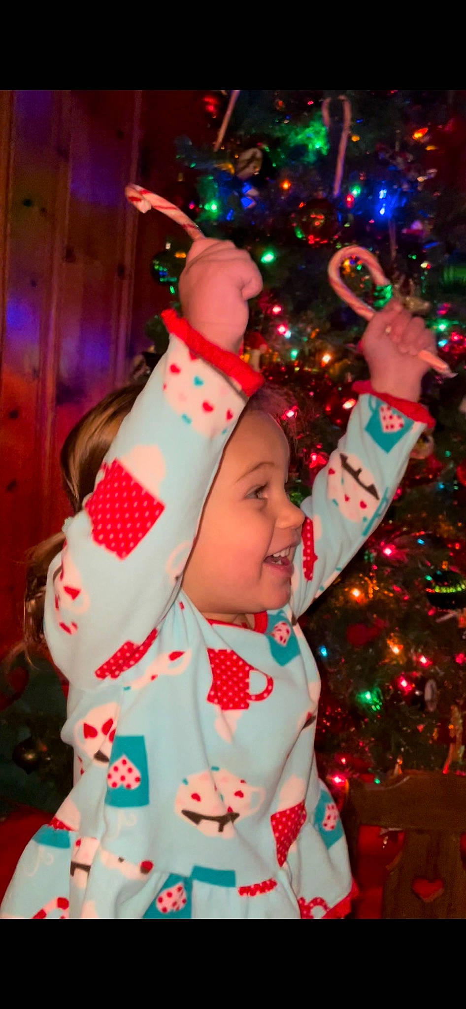 Harley Jade is registered to the contest to win money with this photo: christmas, christmas_decoration, christmas_ornament, christmas_tree, costume_hat, dress, event, fun, green, happy, hat, headwear, holiday, holiday_ornament, ornament, party_supply, person, plant, smile, toddler