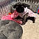 Lucy