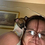 Princess is registered to the contest to win money with this photo: woman, glasses, puppy, dog, shoulder, indoor, portrait, face, hair, pet, animal, painting, wall, skin, eyewear, casual, closeup, expression, head, curious