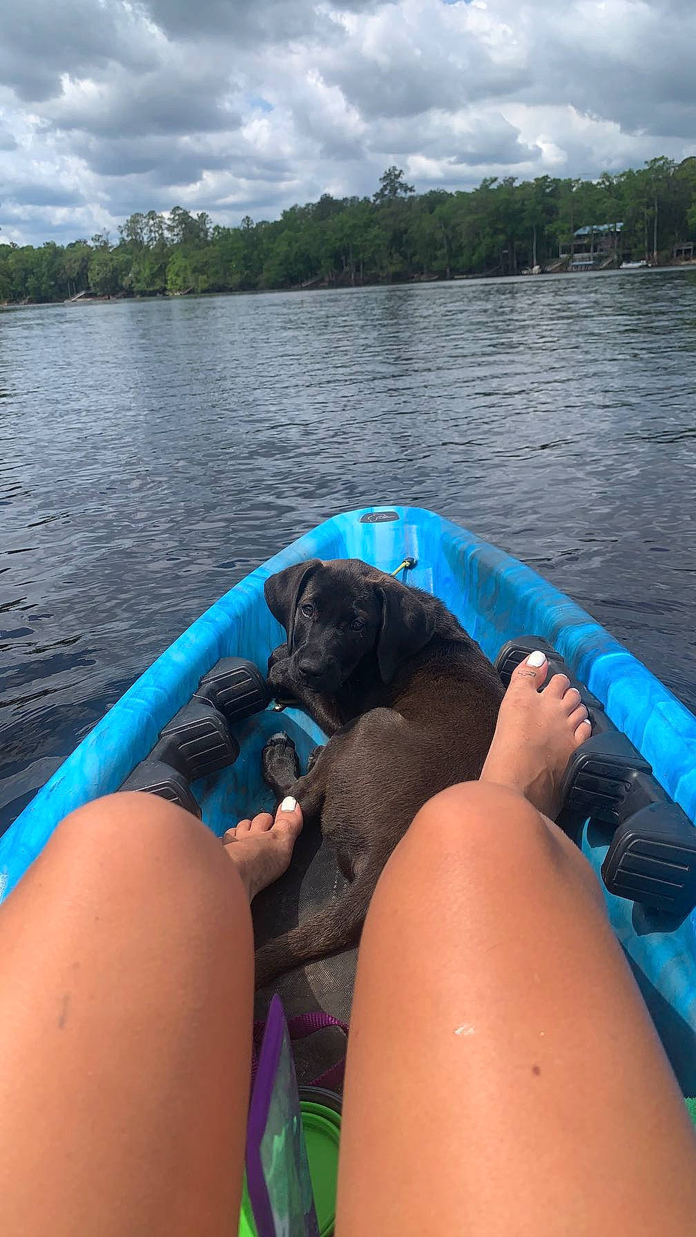 Booger joined the competition — help win amazing prizes! boat, boats_and_boating_equipment_and_supplies, cloud, fun, lake, leg, leisure, lifejacket, oar, personal_protective_equipment, recreation, sky, steering_wheel, thigh, travel, tree, vehicle, water, water_transportation, watercraft