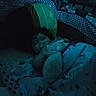 baby, baby_clothing, bassinet, blanket, blue_light, calm, cozy, crib, dim_lighting, face, indoor, infant, lying_down, nighttime, nursery, pacifier, patterned_fabric, photography, portrait, sleeping