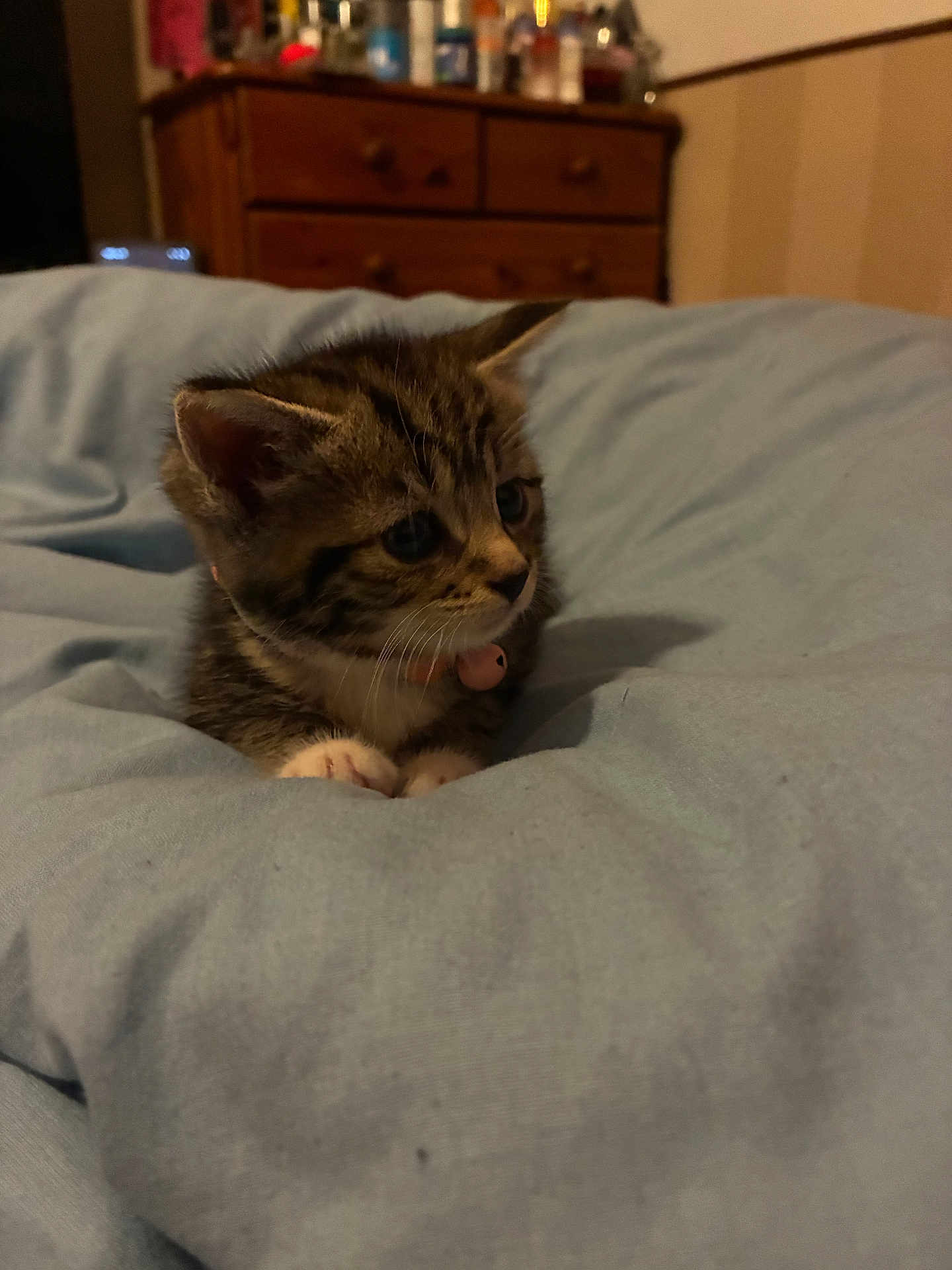Rebel