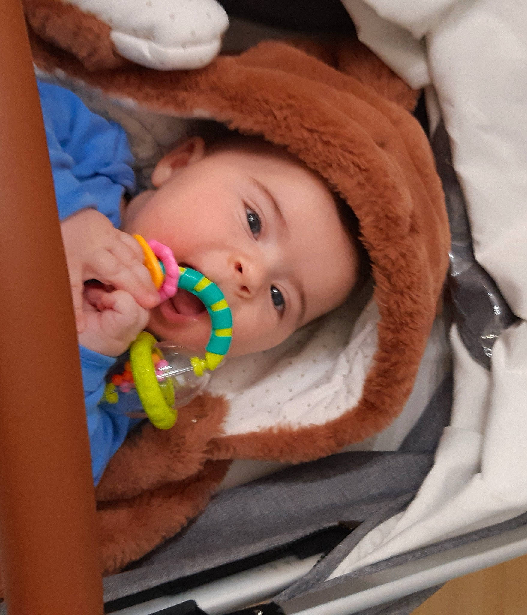 Gwenaël participe au concours pour gagner de l'argent avec cette photo : baby, baby_carriage, baby_products, baby_safety, baby_toddler_clothing, cap, car_seat, cheek, comfort, eye, eyelash, head, headwear, iris, lip, mouth, nail, nose, person, skin