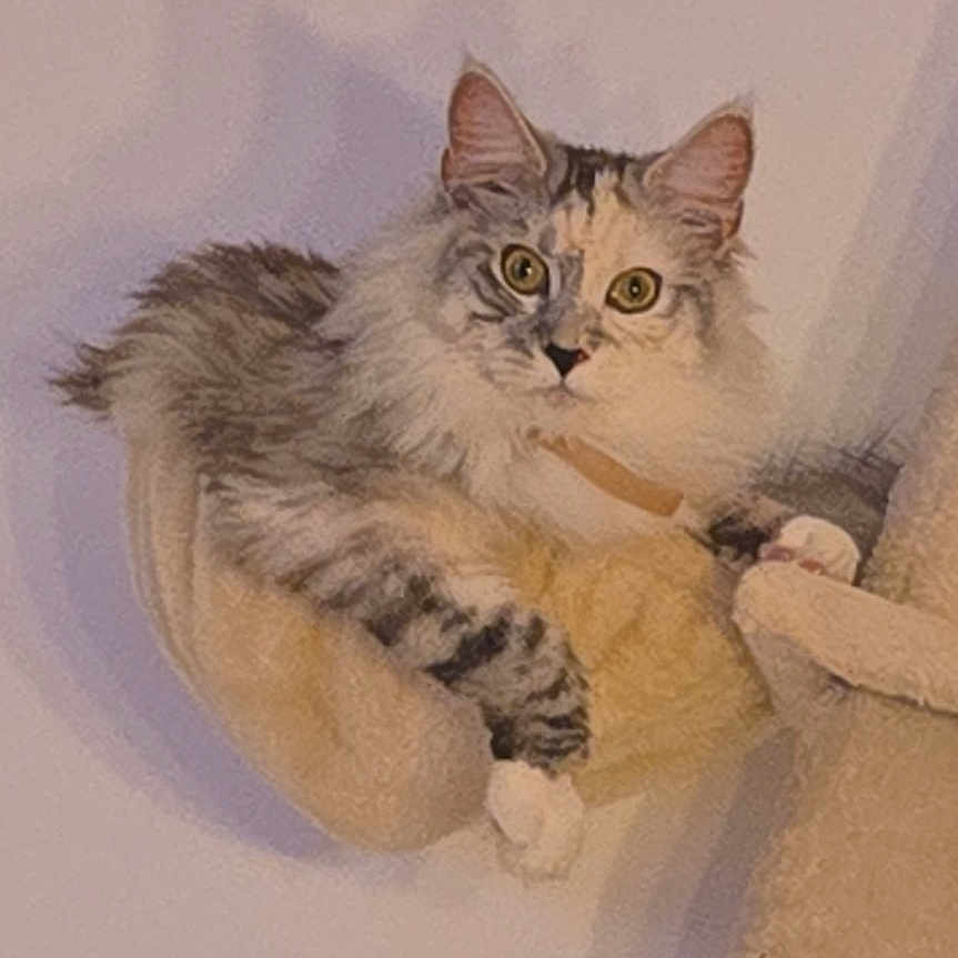 Ziara