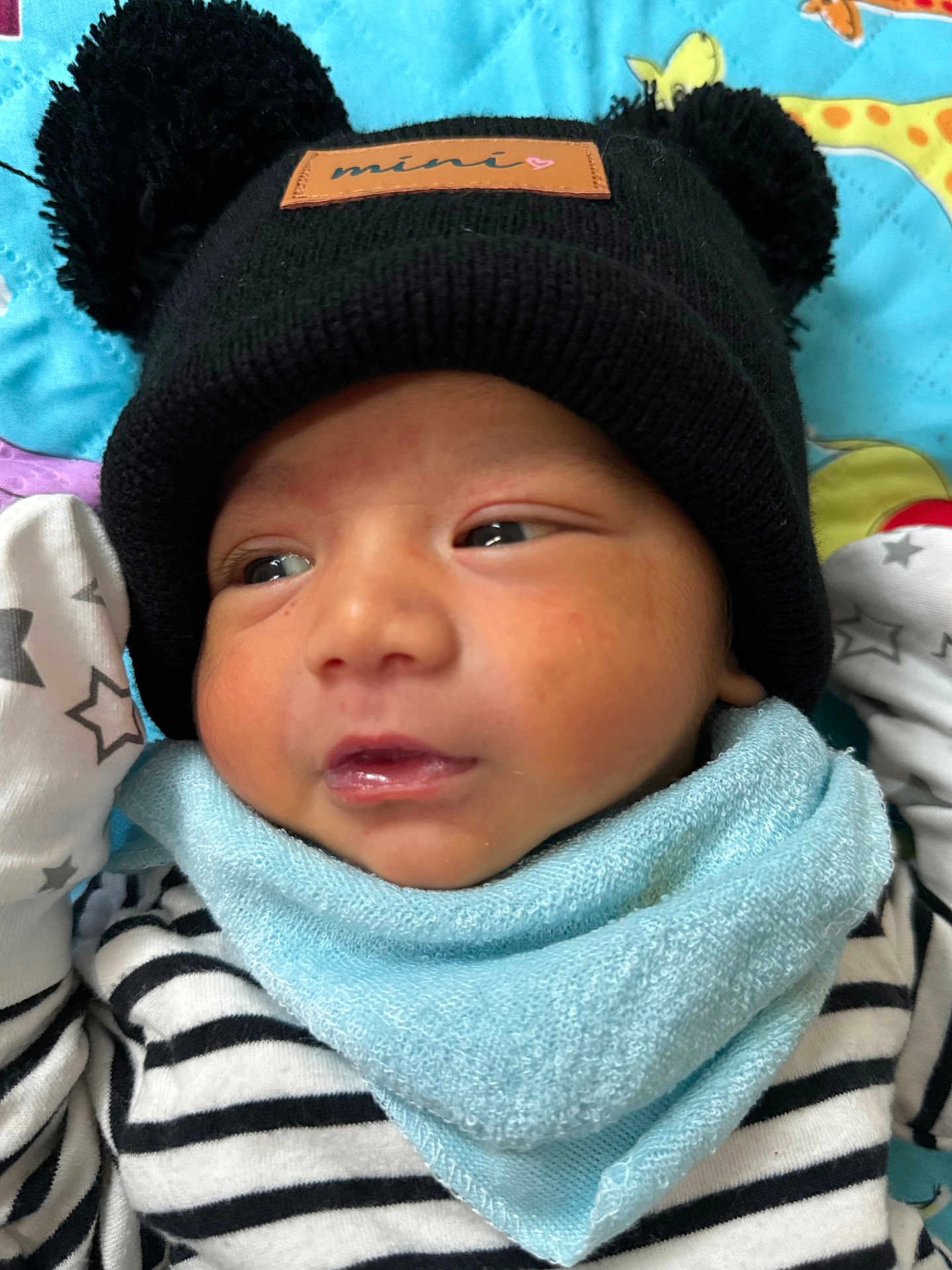 Md Shamil joined the competition — help win amazing prizes! adorable, baby, blanket, blue_bib, child, close_up, cute, face, hat, indoor, infant, knit_hat, newborn, patterned_blanket, pom_poms, resting, soft_texture, striped_clothing, warm_clothing, young