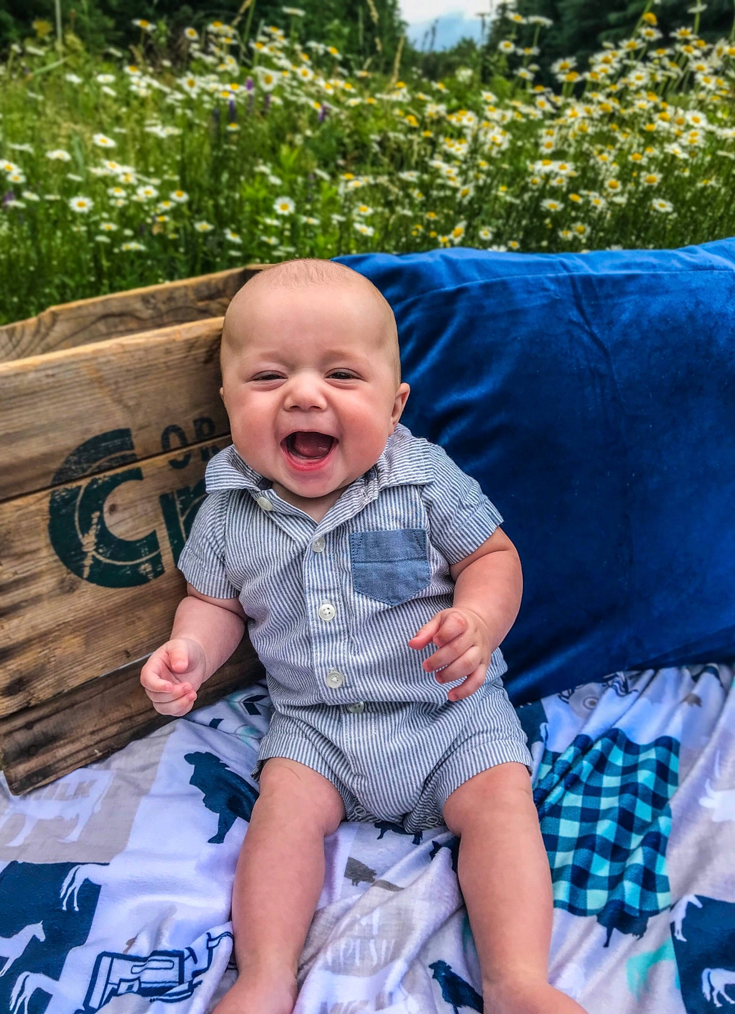 Andy joined the competition — help win amazing prizes! baby, baby_toddler_clothing, child, couch, dress, electric_blue, event, fun, grass, happy, head, leisure, pattern, person, photograph, plant, recreation, sitting, smile, t_shirt