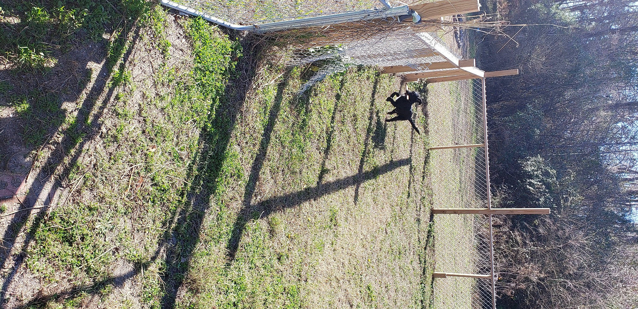 Garth is registered to the contest to win money with this photo: agriculture, branch, chain_link_fencing, facade, grass, landscape, mesh, metal, plant, recreation, rope, shade, shadow, soil, tints_and_shades, tree, twig, wire, wire_fencing, wood