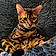 Richard Parker