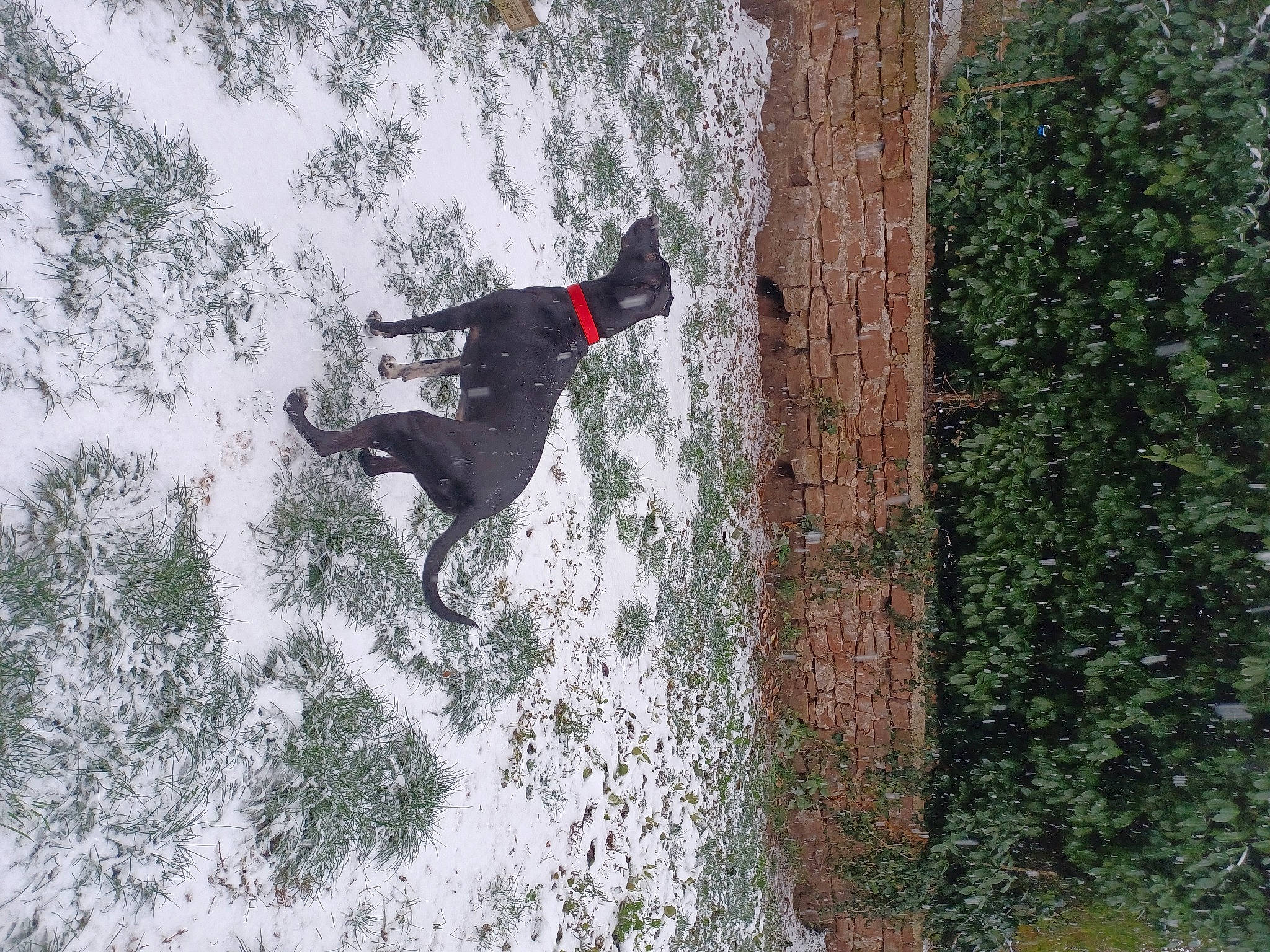 Libby a rejoint le concours — aidez-le/la à gagner de superbes lots ! active_pants, adventure, extreme_sport, freezing, fun, grass, individual_sports, leisure, people_in_nature, personal_protective_equipment, plant, recreation, rock, snow, soil, sport_climbing, sports, tree, trunk, winter