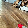 Tuxi is registered to the contest to win money with this photo: cat, black_and_white, fluffy, wooden_floor, indoor, furniture, table_base, relaxed, pet, animal, curious, laying_down, household_items, red_lid, wood_texture, domestic, cozy, resting, flooring, living_space